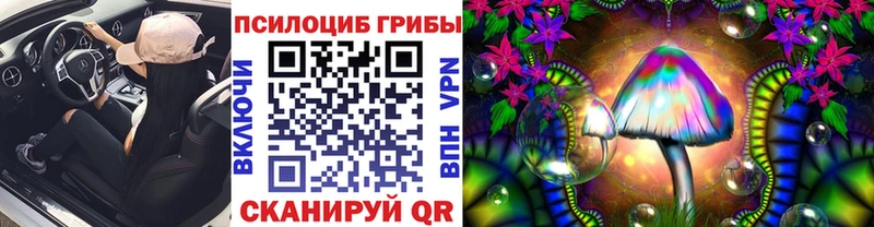 Псилоцибиновые грибы Cubensis  Челябинск 