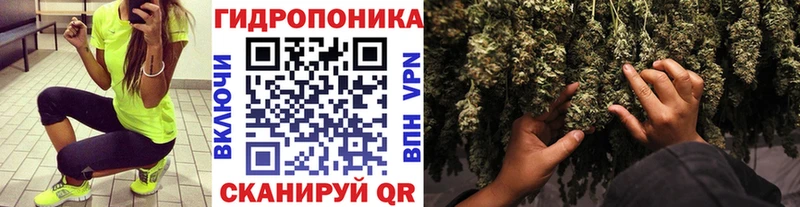 Конопля марихуана Челябинск